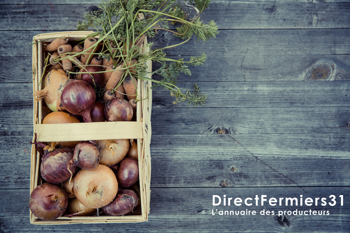 annuaire des producteurs